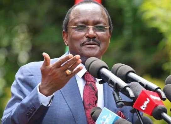 Kalonzo Shakes Up Wiper Leadership as Edwin Sifuna Overtakes Him in Latest Opinion Poll